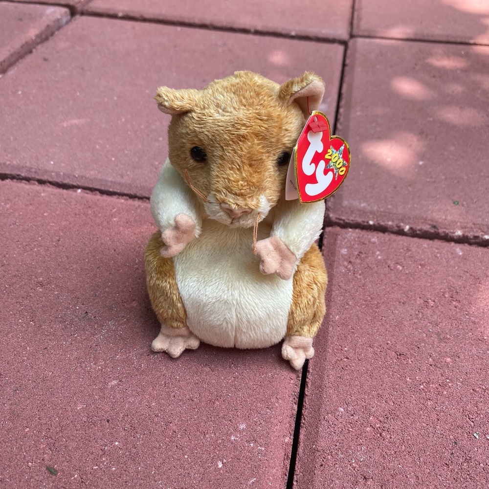 TY Beanie Babies Vintage 2000 “Pellet” (2 for $20)